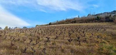 Terrain seul à Albi en Tarn (81) de 8000 m² à vendre au prix de 150000€ - 1