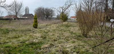 Terrain seul à Puisieux en Pas-de-Calais (62) de 0 m² à vendre au prix de 25000€ - 1