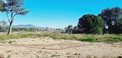 Terrain seul à Castelnou en Pyrénées-Orientales (66) de 1466 m² à vendre au prix de 240000€ - 1