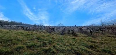 Terrain seul à Albi en Tarn (81) de 8000 m² à vendre au prix de 150000€ - 4