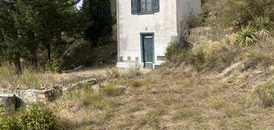 Terrain seul à Cournanel en Aude (11) de 4837 m² à vendre au prix de 93500€ - 3