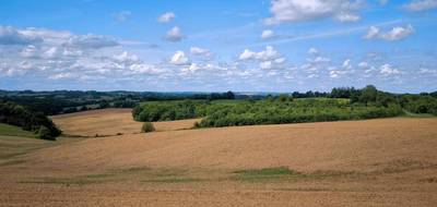 Terrain seul à Aignan en Gers (32) de 2000 m² à vendre au prix de 24000€ - 3