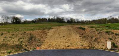 Terrain seul à Le Mesnil-Guillaume en Calvados (14) de 605 m² à vendre au prix de 39500€ - 4