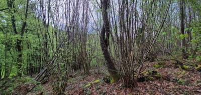 Terrain seul à Tulle en Corrèze (19) de 12706 m² à vendre au prix de 35590€ - 2