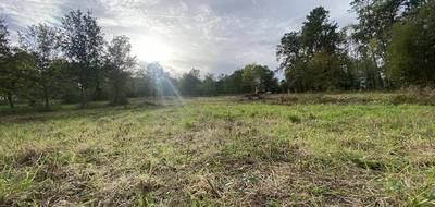 Terrain seul à Chantérac en Dordogne (24) de 4304 m² à vendre au prix de 53750€ - 1