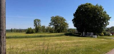 Terrain seul à Brandeville en Meuse (55) de 834 m² à vendre au prix de 23016€ - 3