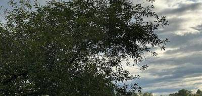 Terrain seul à Moncel-sur-Seille en Meurthe-et-Moselle (54) de 551 m² à vendre au prix de 45000€ - 3