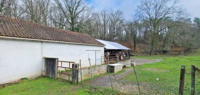 Terrain seul à Coulounieix-Chamiers en Dordogne (24) de 24000 m² à vendre au prix de 95000€ - 4