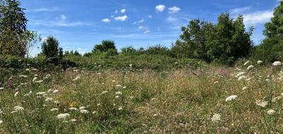 Terrain seul à La Souterraine en Creuse (23) de 9774 m² à vendre au prix de 99000€ - 4