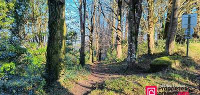 Terrain seul à Locronan en Finistère (29) de 1160 m² à vendre au prix de 97990€ - 3