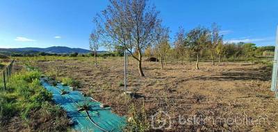 Terrain seul à Estagel en Pyrénées-Orientales (66) de 2603 m² à vendre au prix de 9900€ - 4