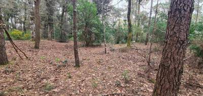 Terrain seul à Saint-Brevin-les-Pins en Loire-Atlantique (44) de 1060 m² à vendre au prix de 330000€ - 1
