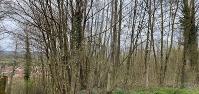 Terrain seul à Jussey en Haute-Saône (70) de 0 m² à vendre au prix de 22000€ - 4