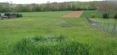 Terrain seul à Escamps en Yonne (89) de 1984 m² à vendre au prix de 44000€ - 3