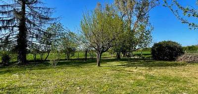 Terrain seul à Montauban en Tarn-et-Garonne (82) de 820 m² à vendre au prix de 69000€ - 4