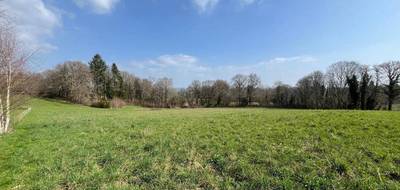 Terrain seul à Royères en Haute-Vienne (87) de 1535 m² à vendre au prix de 39000€ - 3