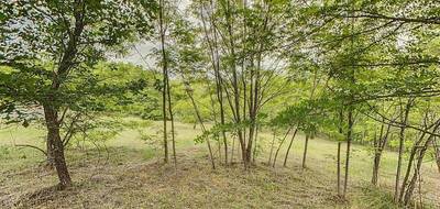 Terrain seul à Lablachère en Ardèche (07) de 2050 m² à vendre au prix de 88000€ - 3