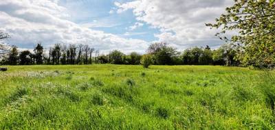 Terrain seul à Nohant-en-Goût en Cher (18) de 1604 m² à vendre au prix de 36000€ - 3