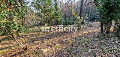 Terrain seul à Opio en Alpes-Maritimes (06) de 5450 m² à vendre au prix de 419000€ - 4