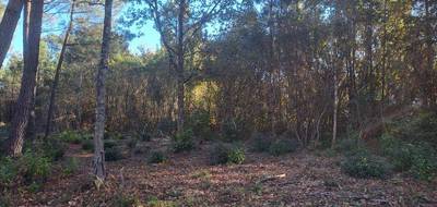 Terrain seul à Saint-Sauveur en Gironde (33) de 1080 m² à vendre au prix de 60000€ - 4