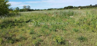 Terrain seul à Saint-Jean-de-Fos en Hérault (34) de 11536 m² à vendre au prix de 45000€ - 1