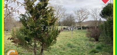 Terrain seul à Cérilly en Allier (03) de 1980 m² à vendre au prix de 30000€ - 4