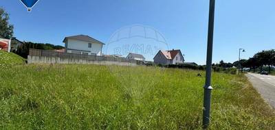 Terrain seul à Werentzhouse en Haut-Rhin (68) de 923 m² à vendre au prix de 97000€ - 2