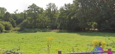 Terrain seul à Urciers en Indre (36) de 5343 m² à vendre au prix de 21000€ - 1
