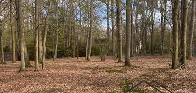 Terrain seul à Lamorlaye en Oise (60) de 6157 m² à vendre au prix de 630000€ - 2