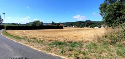 Terrain seul à Usson-en-Forez en Loire (42) de 2800 m² à vendre au prix de 79900€ - 2