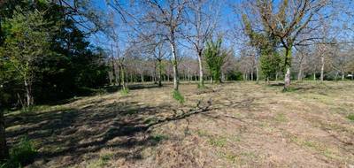 Terrain seul à Réans en Gers (32) de 10000 m² à vendre au prix de 94000€ - 2