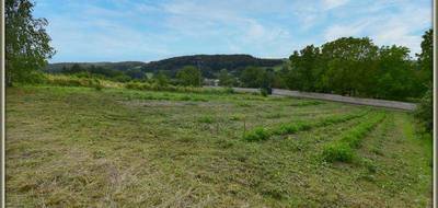 Terrain seul à Olizy-Primat en Ardennes (08) de 4770 m² à vendre au prix de 86000€ - 3