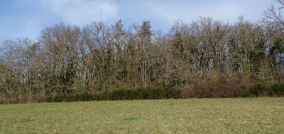 Terrain seul à Thonac en Dordogne (24) de 19000 m² à vendre au prix de 157200€ - 3