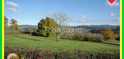 Terrain seul à Nizerolles en Allier (03) de 0 m² à vendre au prix de 24000€ - 3