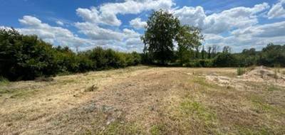 Terrain seul à Huiron en Marne (51) de 2858 m² à vendre au prix de 54000€ - 4