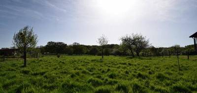 Terrain seul à Saillenard en Saône-et-Loire (71) de 2003 m² à vendre au prix de 25000€ - 4