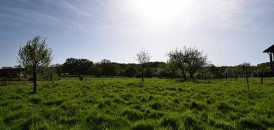 Terrain seul à Frangy-en-Bresse en Saône-et-Loire (71) de 2003 m² à vendre au prix de 25000€ - 4