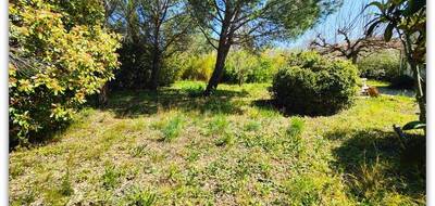 Terrain seul à Neffiès en Hérault (34) de 728 m² à vendre au prix de 131000€ - 4