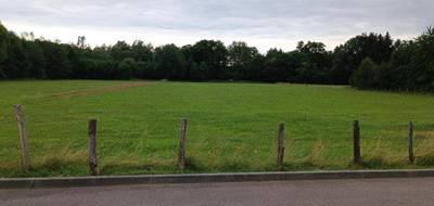 Terrain seul à Luxeuil-les-Bains en Haute-Saône (70) de 9159 m² à vendre au prix de 199000€ - 1