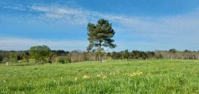 Terrain seul à Saint-Félix-de-Reillac-et-Mortemart en Dordogne (24) de 2679 m² à vendre au prix de 107500€ - 4