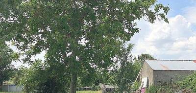 Terrain seul à La Ronde en Charente-Maritime (17) de 1000 m² à vendre au prix de 47990€ - 2