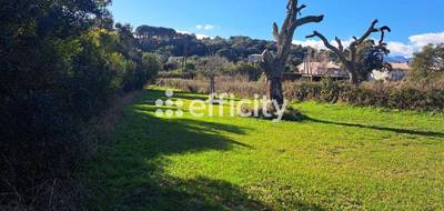 Terrain seul à Porto-Vecchio en Corse-du-Sud (2A) de 4023 m² à vendre au prix de 860000€ - 2