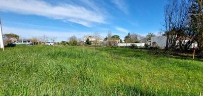 Terrain seul à Saint-Pierre-d'Oléron en Charente-Maritime (17) de 582 m² à vendre au prix de 149500€ - 2