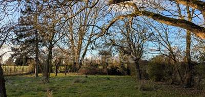 Terrain seul à Neuville-en-Ferrain en Nord (59) de 925 m² à vendre au prix de 252000€ - 4