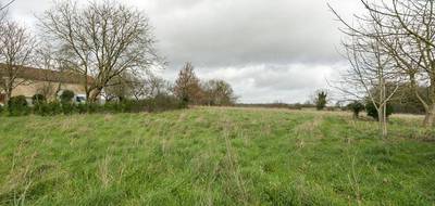 Terrain seul à Vieux-Ruffec en Charente (16) de 7200 m² à vendre au prix de 12000€ - 3