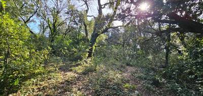 Terrain seul à Montélimar en Drôme (26) de 1309 m² à vendre au prix de 230000€ - 3