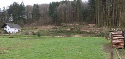 Terrain seul à Hottviller en Moselle (57) de 803 m² à vendre au prix de 17500€ - 4