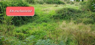 Terrain seul à Saint-Jean-du-Doigt en Finistère (29) de 1948 m² à vendre au prix de 55000€ - 4