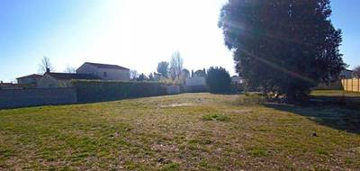 Terrain seul à Violès en Vaucluse (84) de 1400 m² à vendre au prix de 245000€ - 4