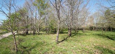 Terrain seul à Casteljaloux en Lot-et-Garonne (47) de 1137 m² à vendre au prix de 42520€ - 3